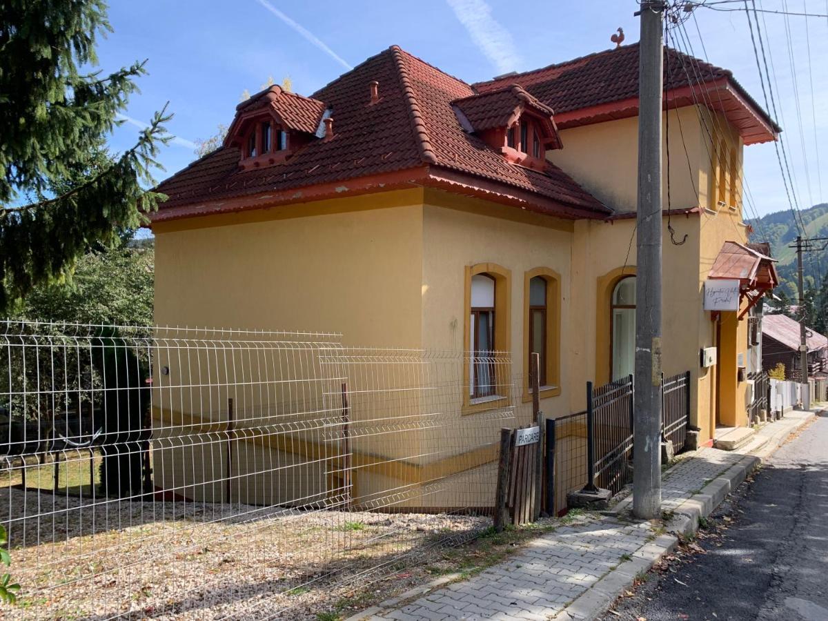 Hypnotic Villa Predeal Eksteriør billede